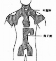 2014年1月17日 (五) 09:13的版本的缩略图