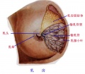 2014年1月18日 (六) 14:53的版本的缩略图