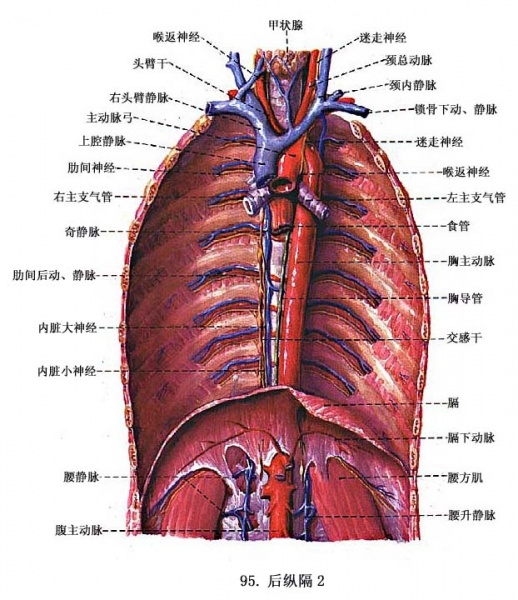 文件:Glp22wfs.jpg
