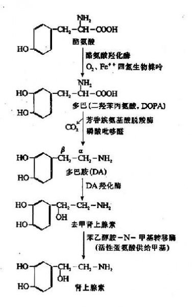文件:Gra71d50.jpg