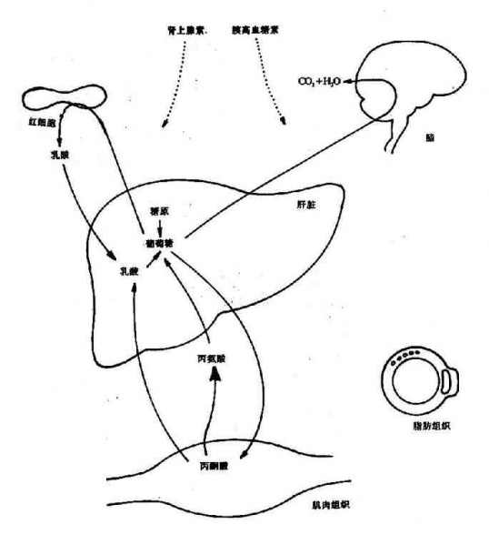 文件:Gra8z8b7.jpg