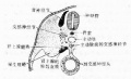 2014年1月18日 (六) 13:42的版本的缩略图