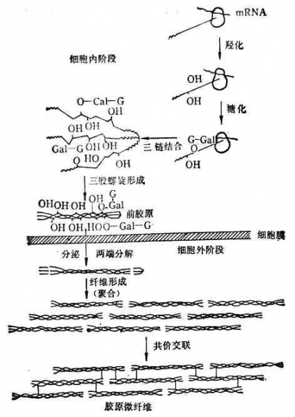 文件:Gpzawppi.jpg