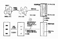 2014年1月18日 (六) 15:24的版本的缩略图