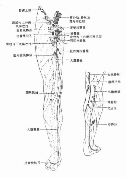文件:Glxpmgxh.jpg
