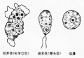 2014年1月18日 (六) 16:11的版本的缩略图