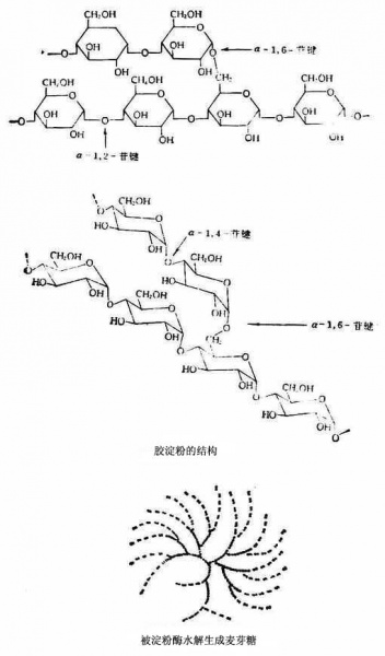 文件:Gmoq60sk.jpg