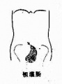 Guwf484g.jpg