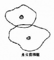 2014年1月19日 (日) 04:39的版本的缩略图