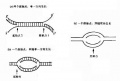 2014年1月17日 (五) 05:59的版本的缩略图
