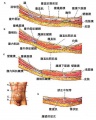2014年1月18日 (六) 16:16的版本的缩略图