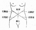 2014年1月19日 (日) 04:10的版本的缩略图