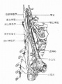 2014年1月19日 (日) 05:32的版本的缩略图