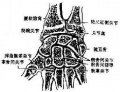 2014年1月17日 (五) 09:27的版本的缩略图