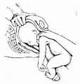 2014年1月19日 (日) 04:57的版本的缩略图