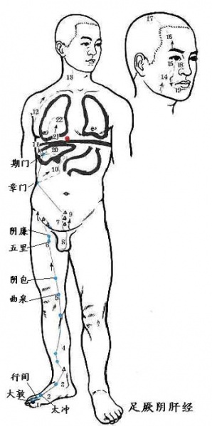 文件:Gmq0je9q.jpg