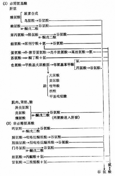 文件:Govcfcai.jpg