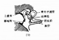 2014年1月18日 (六) 16:48的版本的缩略图