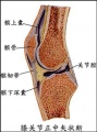 2014年1月18日 (六) 13:28的版本的缩略图