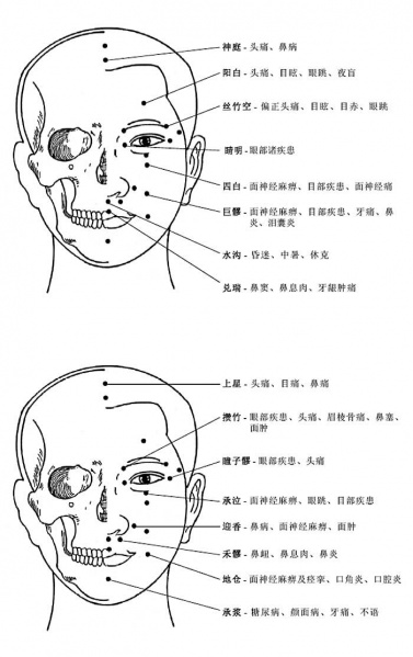 文件:Xue tou.jpg