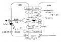2014年1月17日 (五) 11:09的版本的缩略图