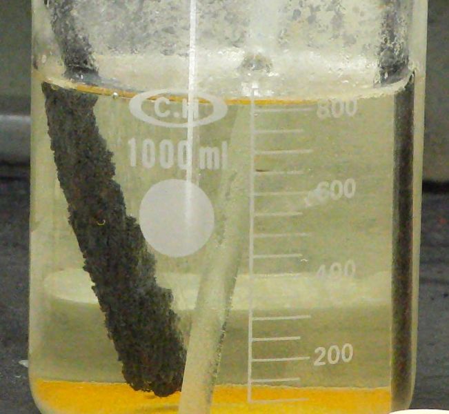 文件:Cadmium elec.jpg