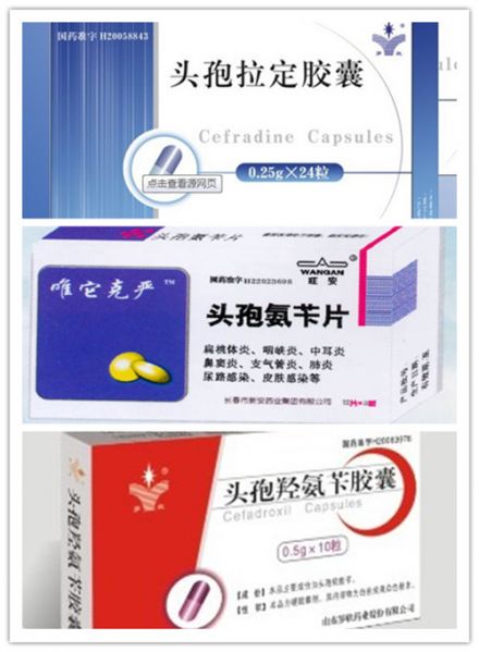 文件:口服第一代头孢菌素.jpg