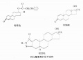 2014年1月19日 (日) 05:32的版本的缩略图
