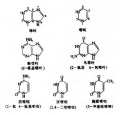 2014年1月19日 (日) 04:43的版本的缩略图