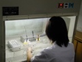 2014年1月17日 (五) 11:28的版本的缩略图