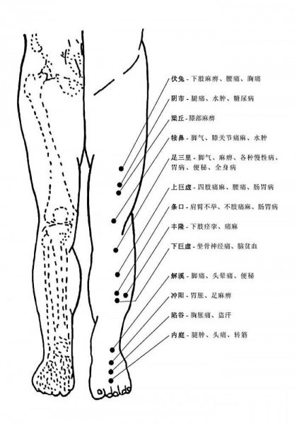 文件:X xiazhi2.jpg