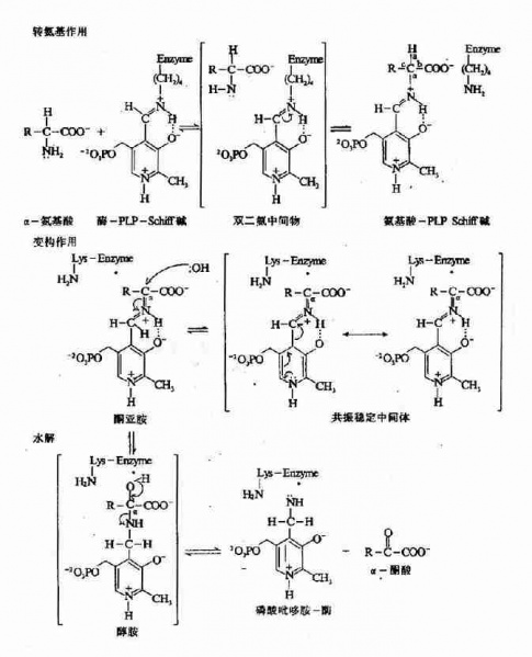 文件:Gra6rmaz.jpg