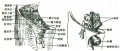 2014年1月19日 (日) 04:34的版本的缩略图