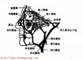 2014年1月19日 (日) 04:59的版本的缩略图