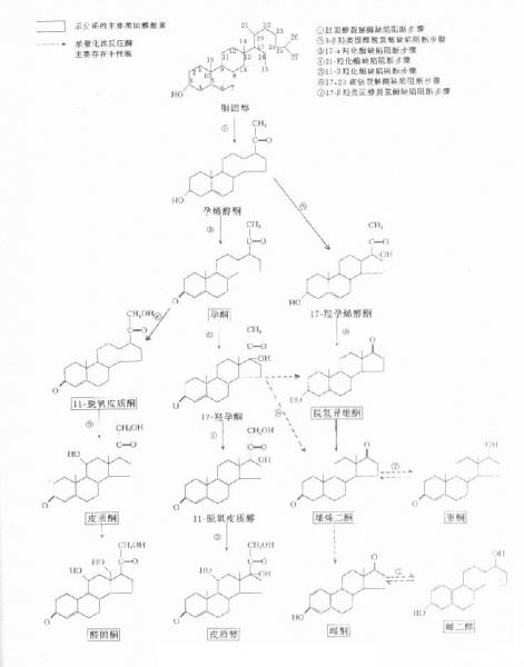 文件:Gopo67q4.jpg