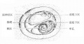 2014年1月19日 (日) 03:49的版本的缩略图