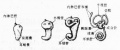 2014年1月18日 (六) 13:50的版本的缩略图