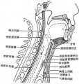 2014年1月17日 (五) 11:05的版本的缩略图