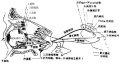 2014年1月19日 (日) 04:50的版本的缩略图