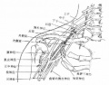 2014年1月19日 (日) 04:59的版本的缩略图