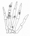 Gks4wm36.jpg