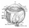 Gv6cxbn6.jpg