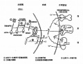 2014年1月19日 (日) 05:19的版本的缩略图