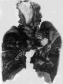 Gj705p4k.jpg