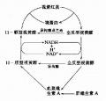 2014年1月19日 (日) 05:27的版本的缩略图