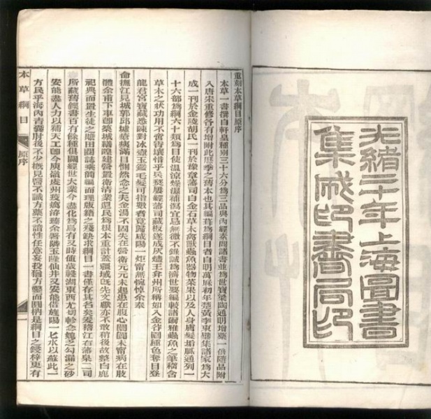 文件:Bkg5e.jpg