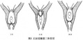 Gxwuo44y.jpg