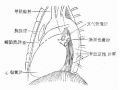 Gumv1nhm.jpg