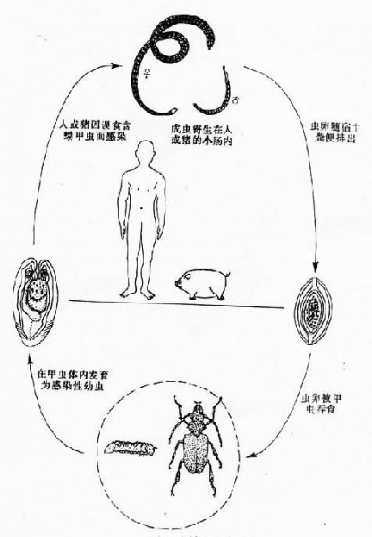 文件:Glewztjj.jpg