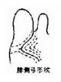 2014年1月17日 (五) 11:06的版本的缩略图